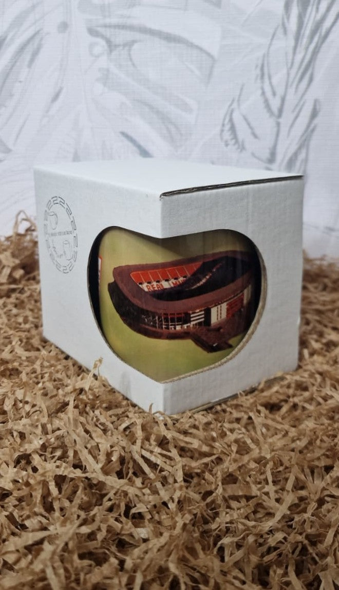 TAZA DE TU EQUIPO FAVORITO